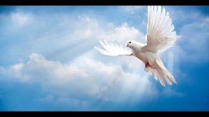 Сказка Птица Света, муз С Чекалина, автор исполн Галина Павлова, видео проект Арианы Искандер