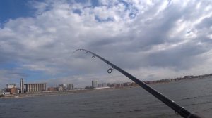 Ловля чебака или фидерная рыбалка