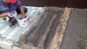 Выращивайте зелень для здоровья: укроп, петрушку, салаты и другое?