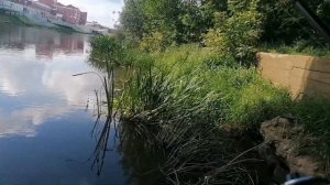 Я вернулся! Рыбалка на спиннинг. Орехово-Зуево, река Клязьма.