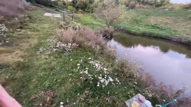 КОНКУРЕНТ В РЫБОЛОВНОМ ДЕЛЕ | SPOKOYNICH DOTA 2 смотреть онлайн