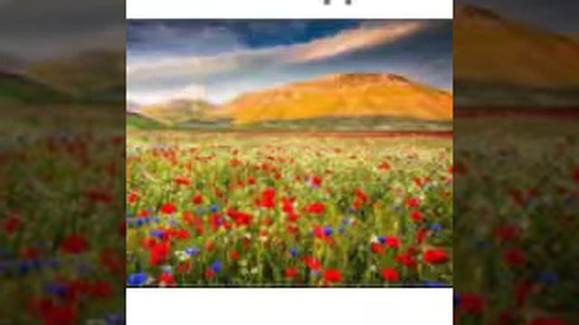 Рано рано утром встану смотреть онлайн