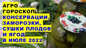 Агрогороскоп заготовок на зиму: консервации, заморозки, сушки плодов и ягод в июле 2022 года