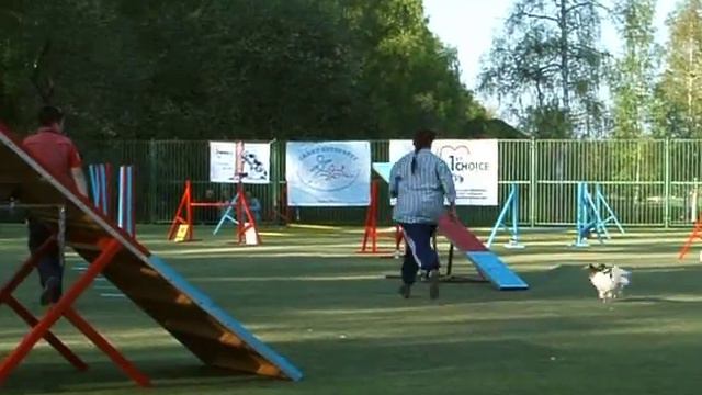 Аджилити, Чемпионат СЗФО, 19.05.12 Лайт, эстафета смотреть онлайн