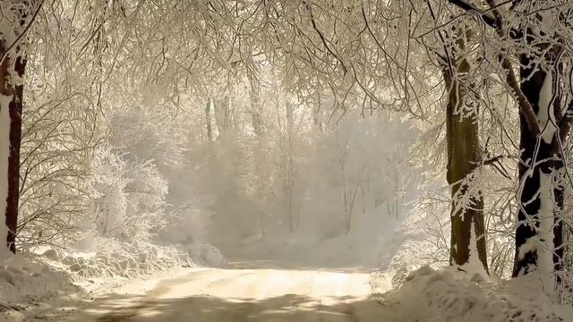 Сергей Романов - 