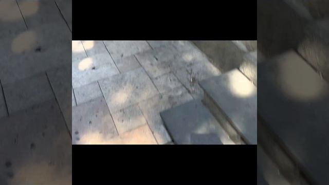 Влог #3.Тбилиси или то,как мы с батей решили уехать в спонтанное путешествие смотреть онлайн