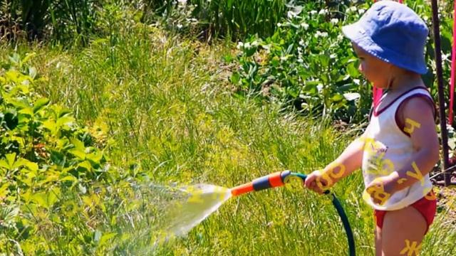 ProShow Slideshow "Дачная пора. (Детям)." Стих и монтаж Никитенкова Лариса. 31. 05. 2017г. смотреть онлайн