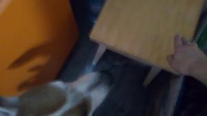 что не съем, то понадкусываю