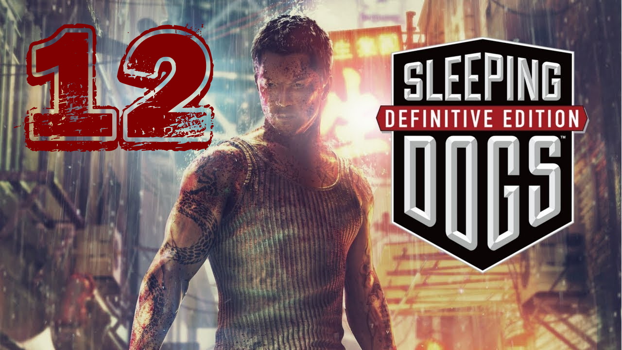 Sleeping Dogs Definitive Edition #12