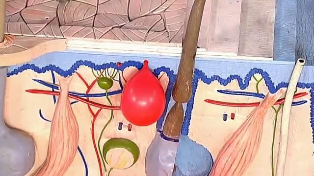 Арахисовое масло. Здоровый завтрак