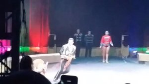 Дрессированные зубры,страусы, кенгуру, и красавчек Джорданчик! Одесса, цирк Кобзов,24.08.16