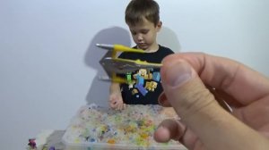 Макс и орбизы с сюрпризами