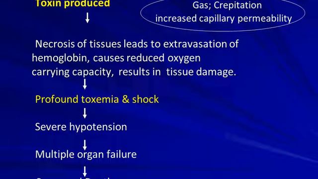 Clostridium perfringens(Gas gangrene): Dr.P.Sreenivasulu Reddy MD смотреть онлайн