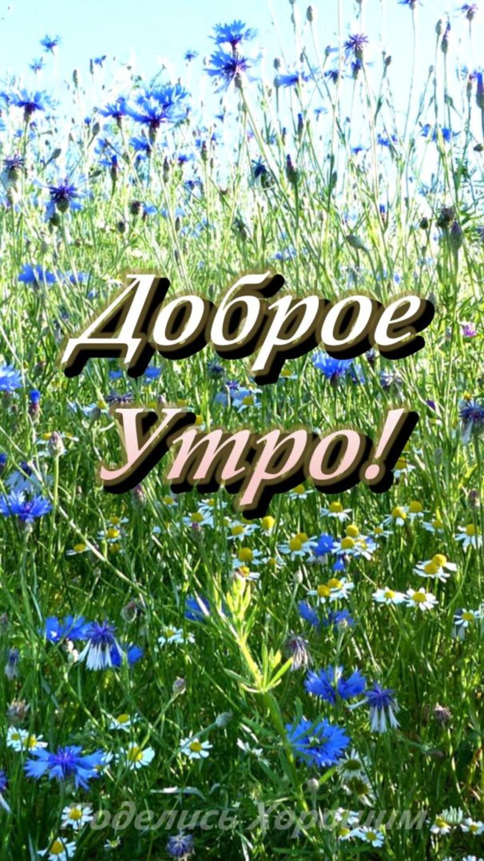 Доброе Утро!
