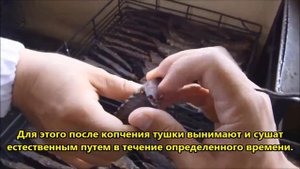 Кацуобуси: один из секретов японской кухни