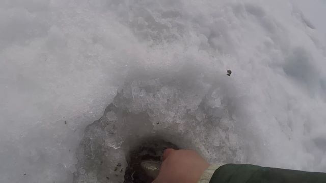 ОНИ УТАСКИВАЮТ И ЛОМАЮТ КОМБАЙНЫ!!! ЛОВЛЯ ЛЕЩА.ЗИМНЯЯ РЫБАЛКА смотреть онлайн