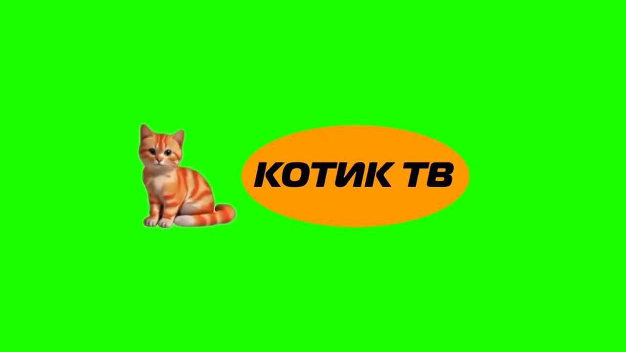 Логотип (Котик ТВ, 01.05.2024-н.в.) для @КотикТвДубляж смотреть онлайн