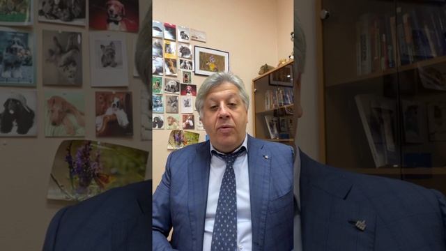 (Человек - общественное существо) Юридическая Компания «Амбер» с передачей «Завтрак Юриста» смотреть онлайн