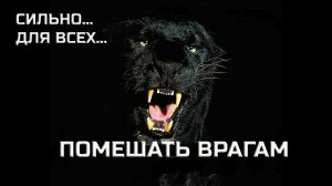ПОМЕШАТЬ ВРАГАМ…СИЛЬНО…ДЛЯ ВСЕХ…ИНГА ХОСРОЕВА