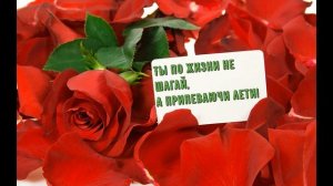 С Днем Рождения, Екатерина! | Поздравление для Кати с Днём Рождения