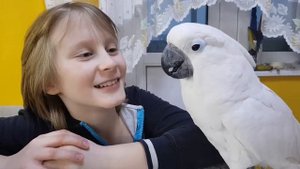 Какаду-ша!)))