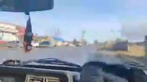 Жива Или Нет. тв маэстро