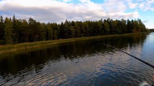 Щука в сентябре. Финский залив. Рыбалка в Финляндии.