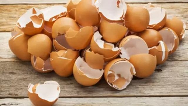 ОНА ЗАПЕКАЕТ СКОРЛУПУ ЯИЦ В ДУХОВКЕ, вместо того чтобы выбрасывать ее! Причина захватывающая…