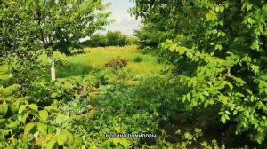 Продается дом с выходом к реке . Кореновский район. Цена 2500. 89883572881Марина