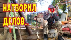 Чем сейчас занят Фермер Одиночка? Беспокойное хозяйство. Как всё успеть?!