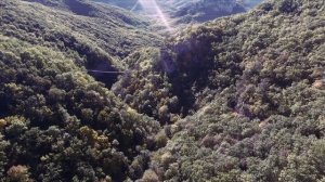 Бремя Господа действительно легко