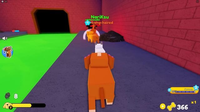 ПРИЮТ для ЖИВОТНЫХ ?История Питомцев #2 Все концовки Кемпинга Pet Story Roblox