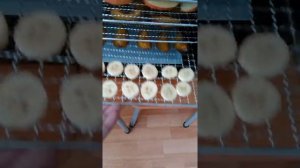 Сушилка для овощей и фруктов Kitfort КТ-1908