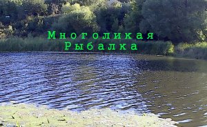 Окуни на мормышинг