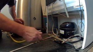 ремонт холодильника "Indesit" IB 201