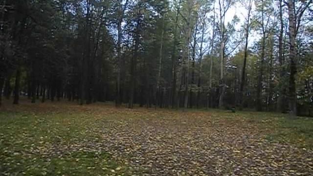 учим лево-право-назад смотреть онлайн