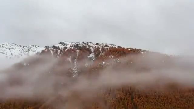 "Голос вселенной",voice of universe