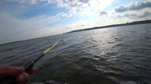 Тренировка по СУДАКУ