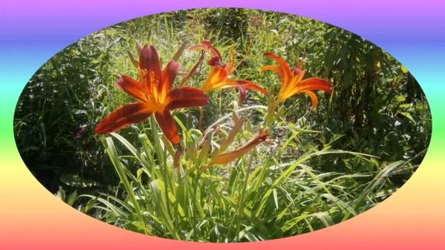 Песня о Великом Творце. Графика 9D смотреть онлайн