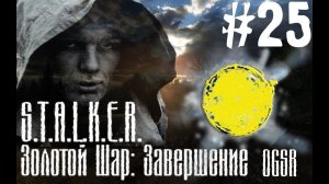 S.T.A.L.K.E.R. Золотой шар. Завершение OGSR Пробиваемся в бар #25.