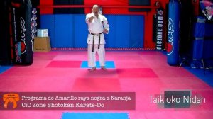 how to learn karate online free  Cinta Naranja Part 6, Shotokan Karate Do  Orange belt  Part 6