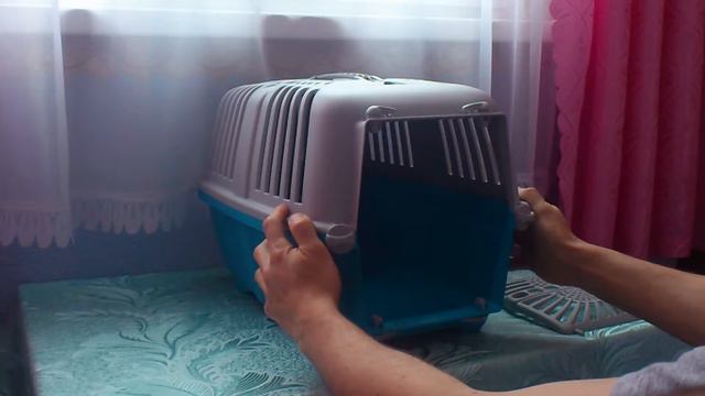 Клетка для транспортировки домашних животных. Часть 1. смотреть онлайн