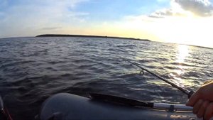 Рыбалка в Июне #Череповец #Шексна