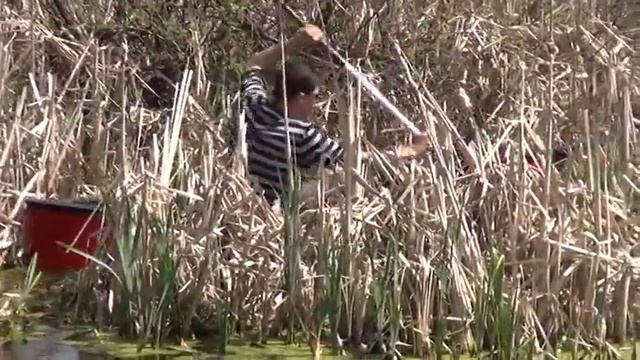 каноэ Остров проходимость смотреть онлайн