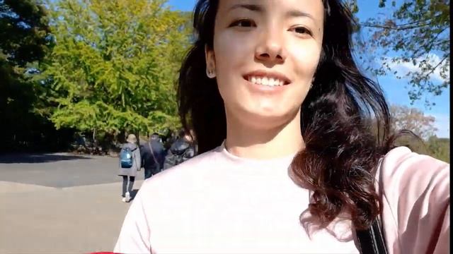 Япония.Токио:Уэно Парк, Район Акихабара смотреть онлайн