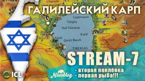 Галилейский карп 2020 (карпфишинг), выпуск 7