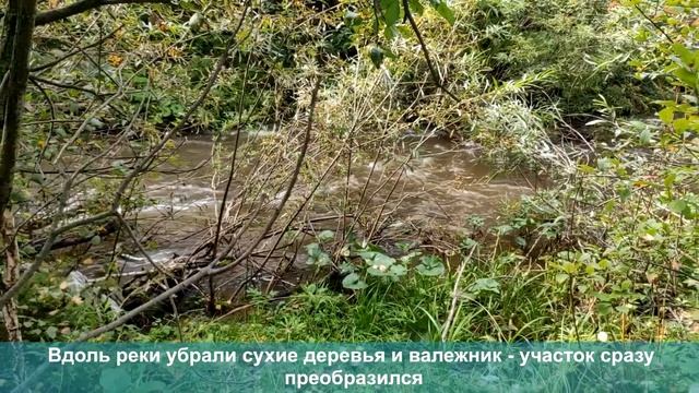 Реализация проекта "Эковолонтеры на реке Лиственка" смотреть онлайн