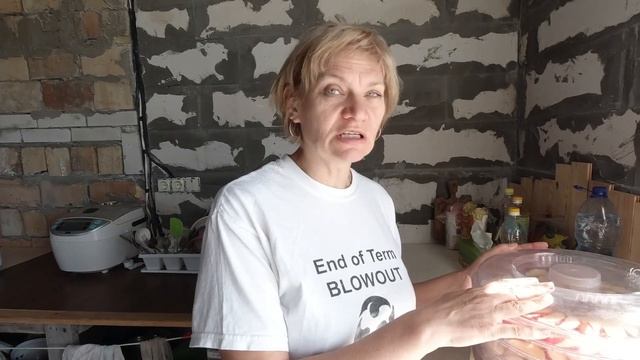 Как сушить яблоки в сушилке? Быстрая заготовка сушки из яблок на зиму