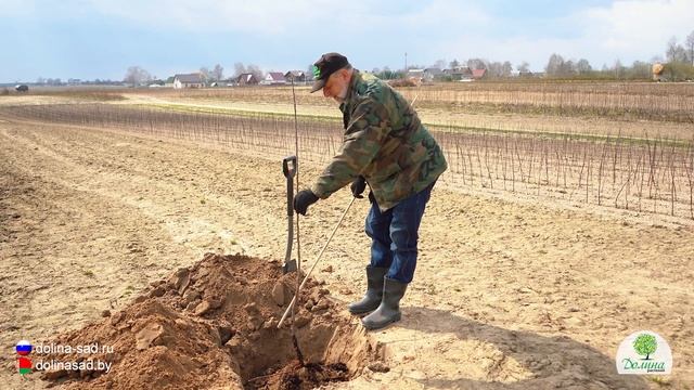 ?ДЕНДРОЛОГ РАССКАЗАЛ ПРАВДУ О ЯМАХ!! ?Для плодовых деревьев и кустарников? смотреть онлайн