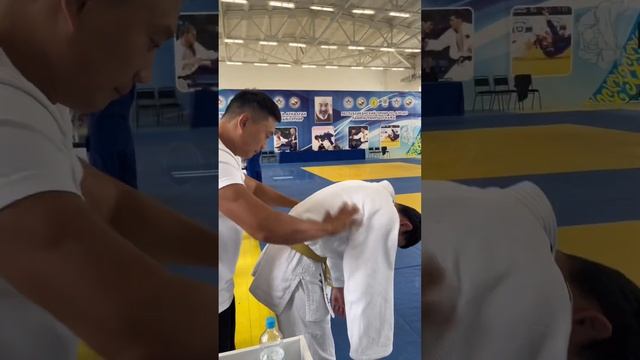 Мой усатый тигр стал чемпионом республиканского турнира! смотреть онлайн